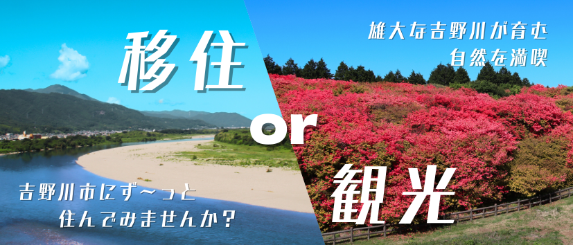 移住／観光