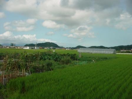 田園 圧縮.JPG