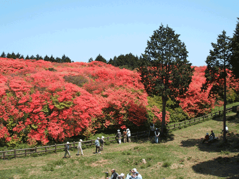 船窪つつじ公園