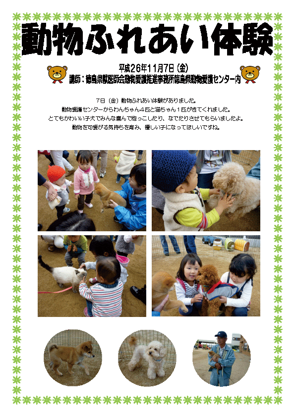 動物ふれあい体験