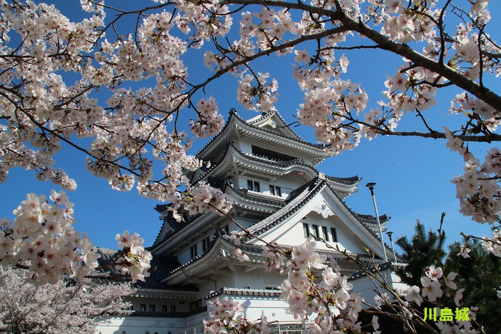 川島城