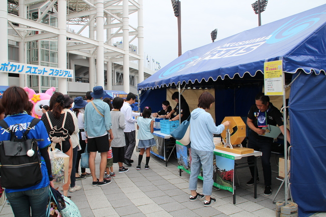 試合会場にて吉野川市をＰＲ
