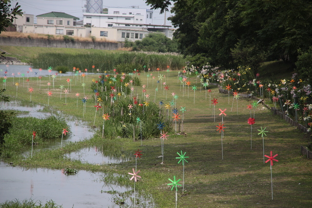 橋の上からの景色もまた絶景です