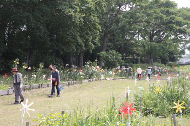 鮮やかな光景に目を奪われます