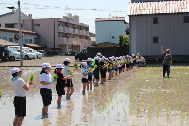 植え方を教わります