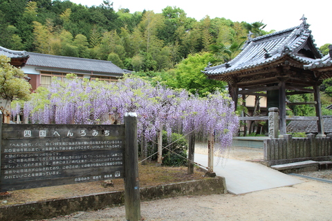 第11番札所藤井寺