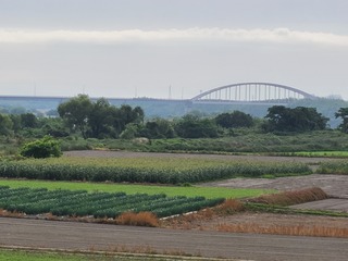 藍作地方特有の氾濫地帯の農耕風景