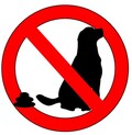 犬のフン禁止