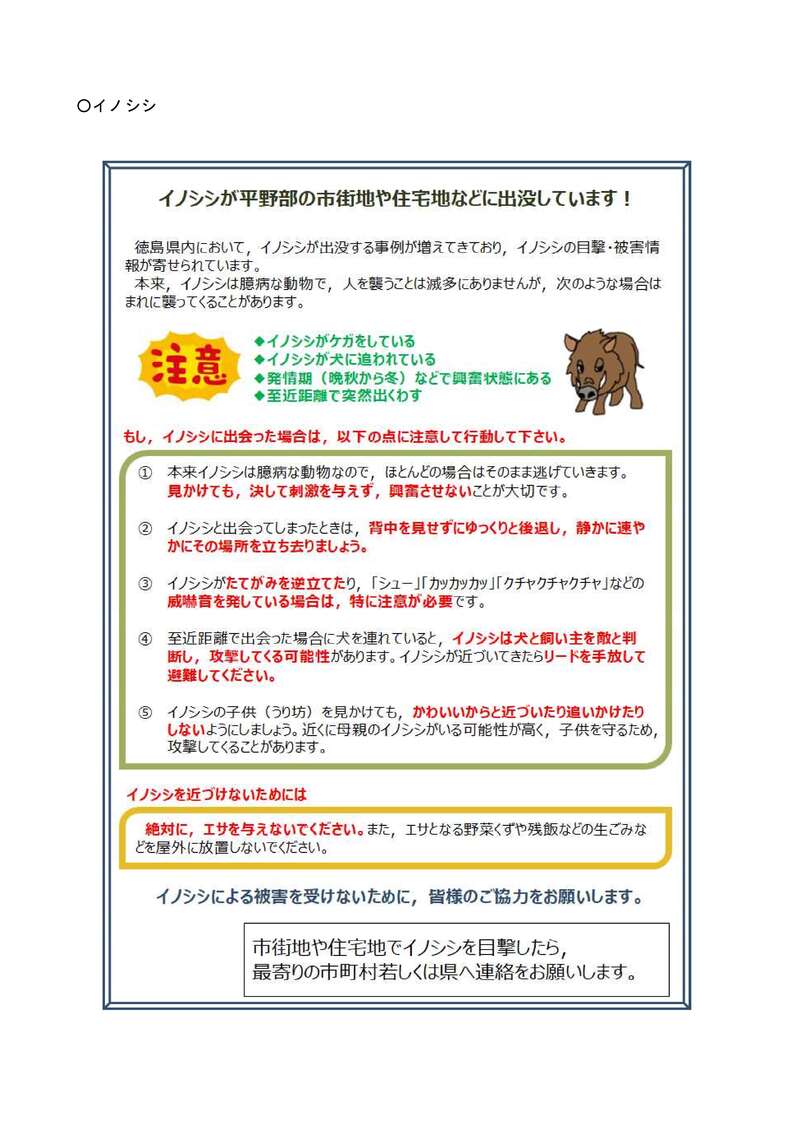イノシシ注意
