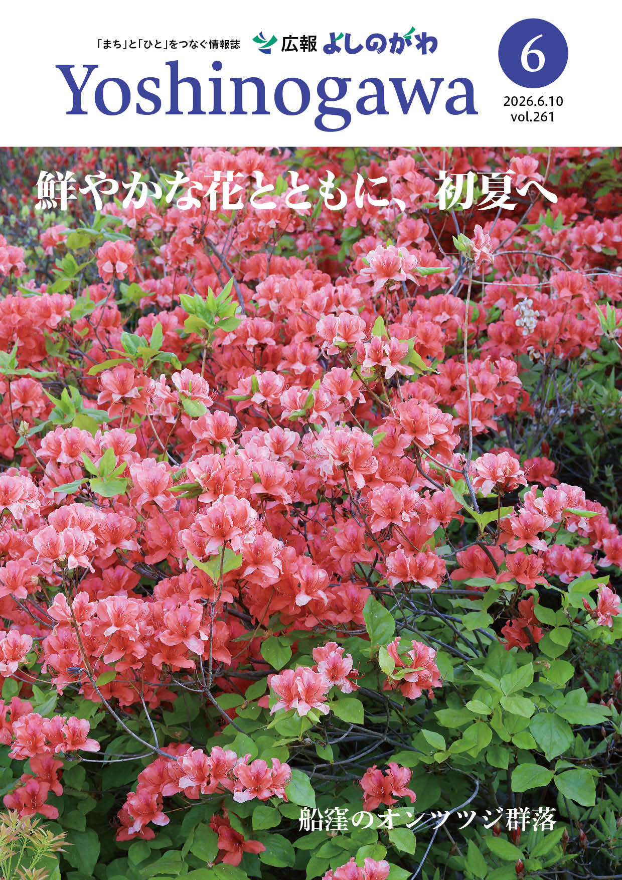 令和8年6月