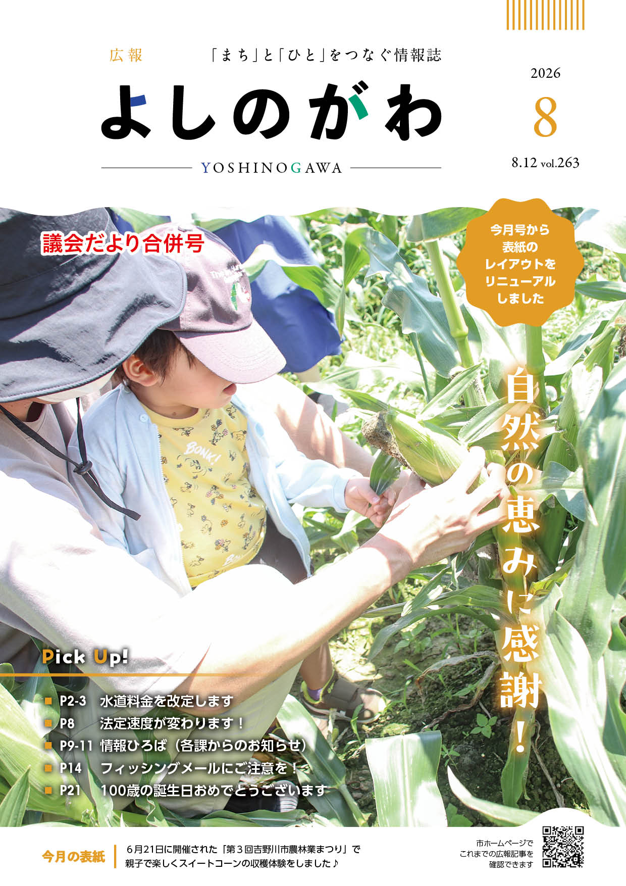 令和8年8月