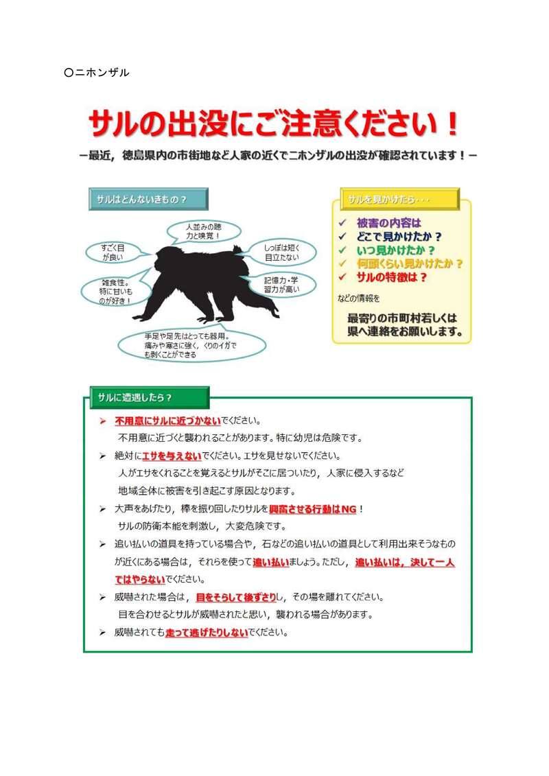 サル注意事項 サル注意事項