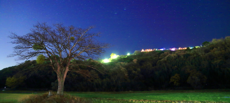 向麻山イルミネーション　撮影：阿部和剛（吉野川市広報サポーター）