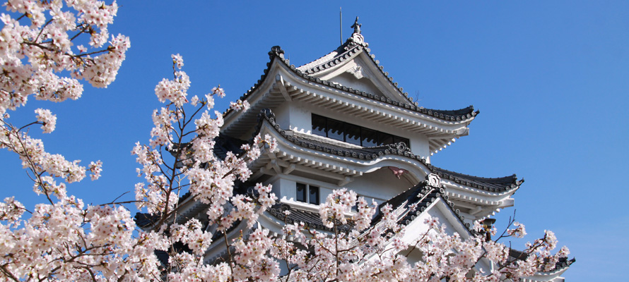 川島城と桜