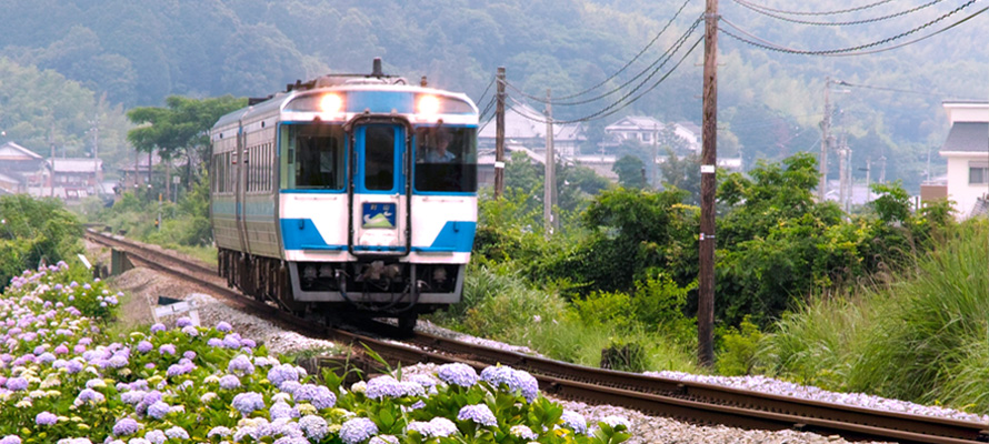 汽車と紫陽花　撮影：阿部和剛（吉野川市広報サポーター）